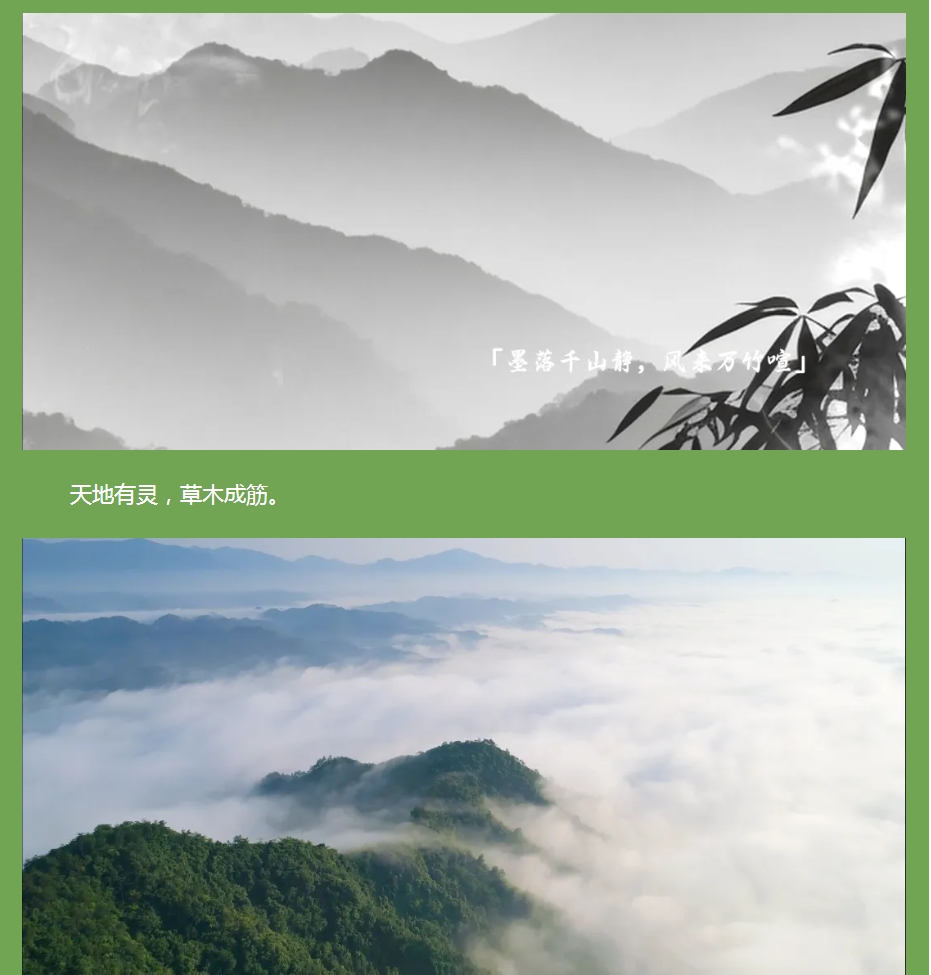以竹為骨，筑就健康之境 —— 竹筋香韻凈化板